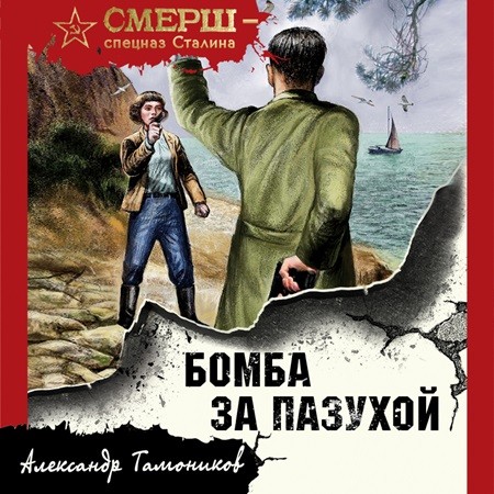 Александр Тамоников - Бомба за пазухой (2024) МР3 скачать торрент